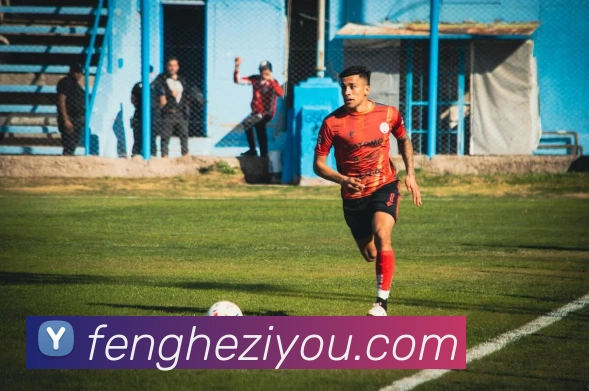 开云平台生态图